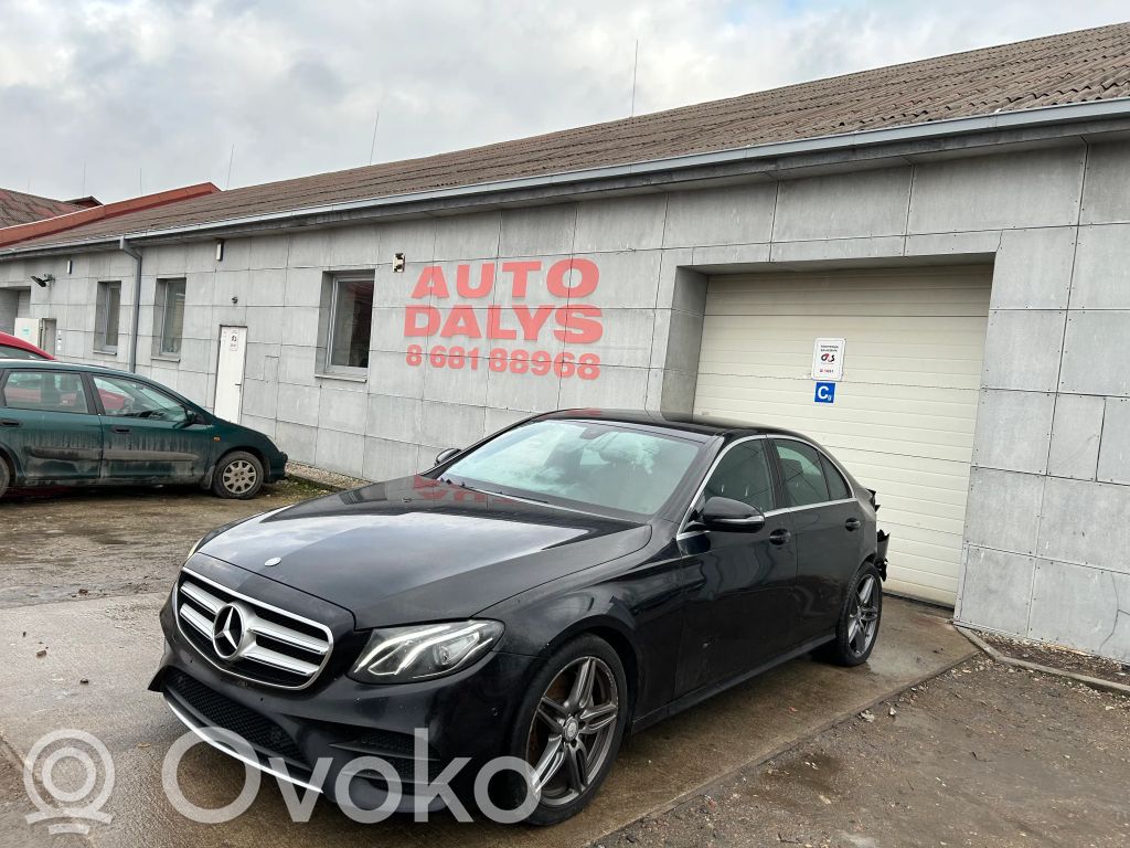 E W213 E-class, AMG (W124, W210, W211, W212, W213, C207, W238)  2139000407
