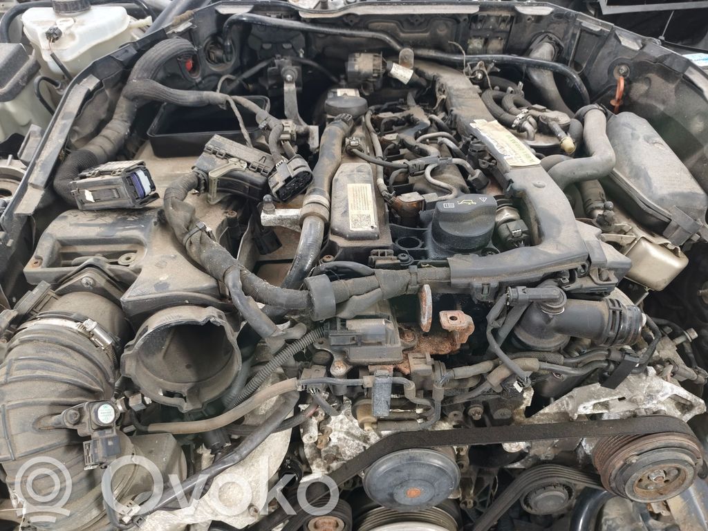 C W205 C-class, AMG (W202, W203, W204, W205, W206)  A2058304300