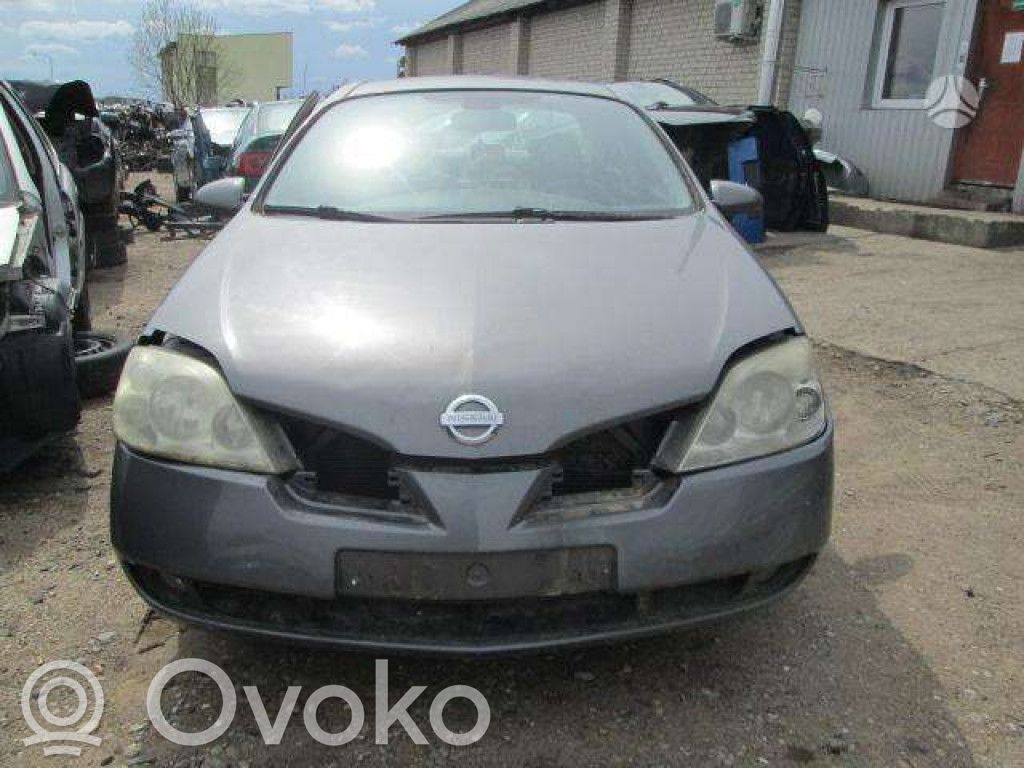 Primera Primera  25951