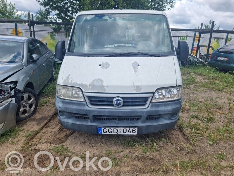 Ducato Ducato