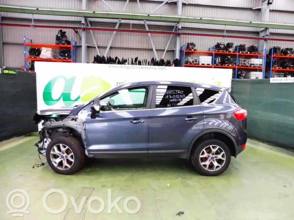 Kuga I Kuga  2512875
