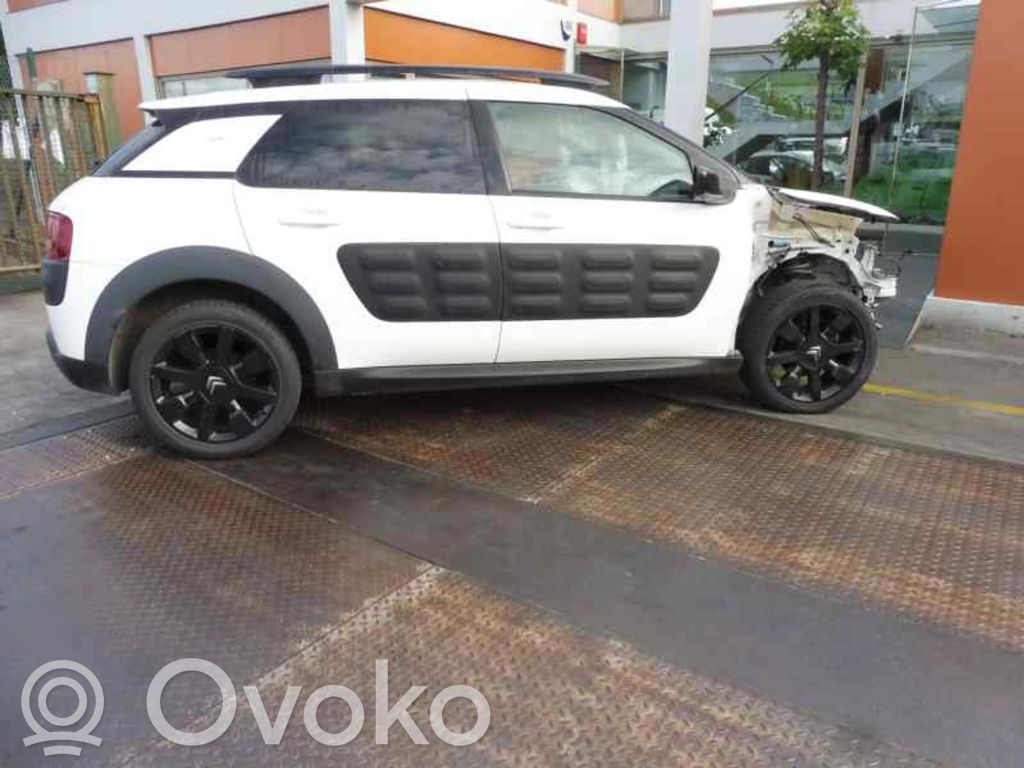 C4 Cactus C4 Picasso, Grand Picasso, Aircross, Cactus  98031272YC