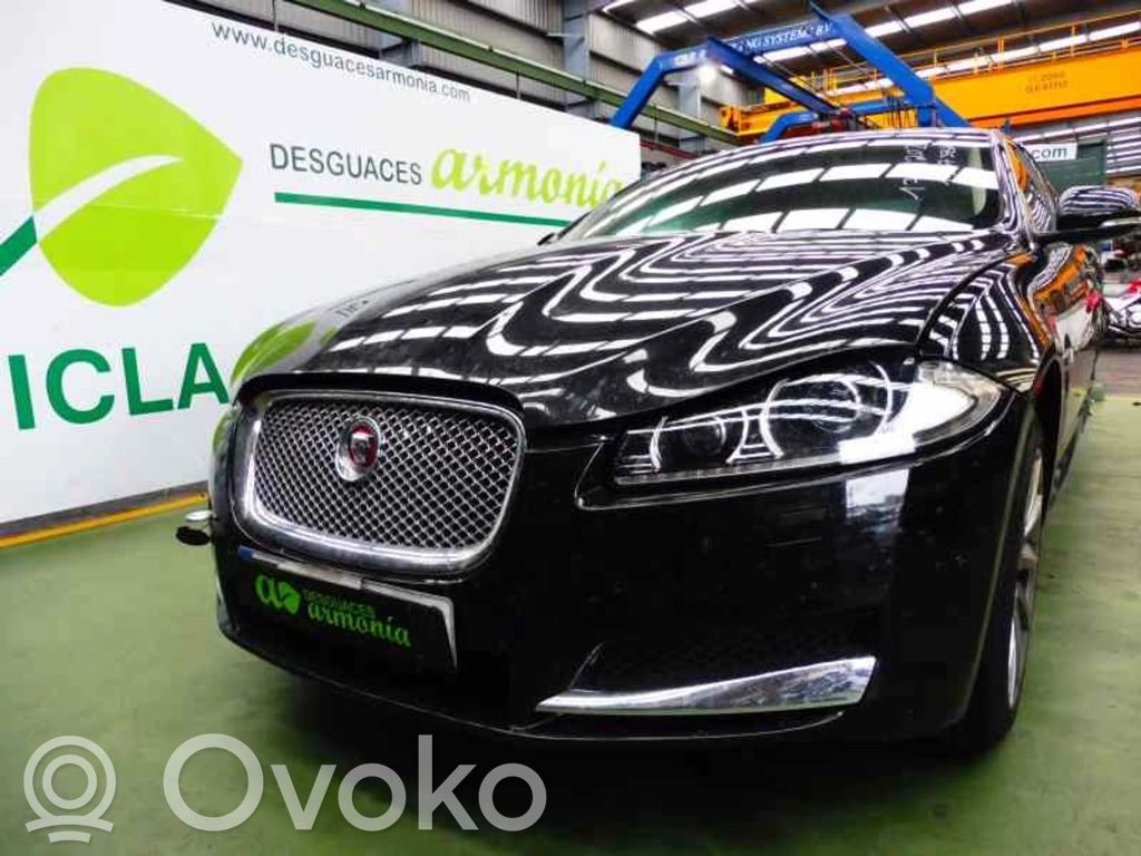 XF X250 XF  C2Z13675