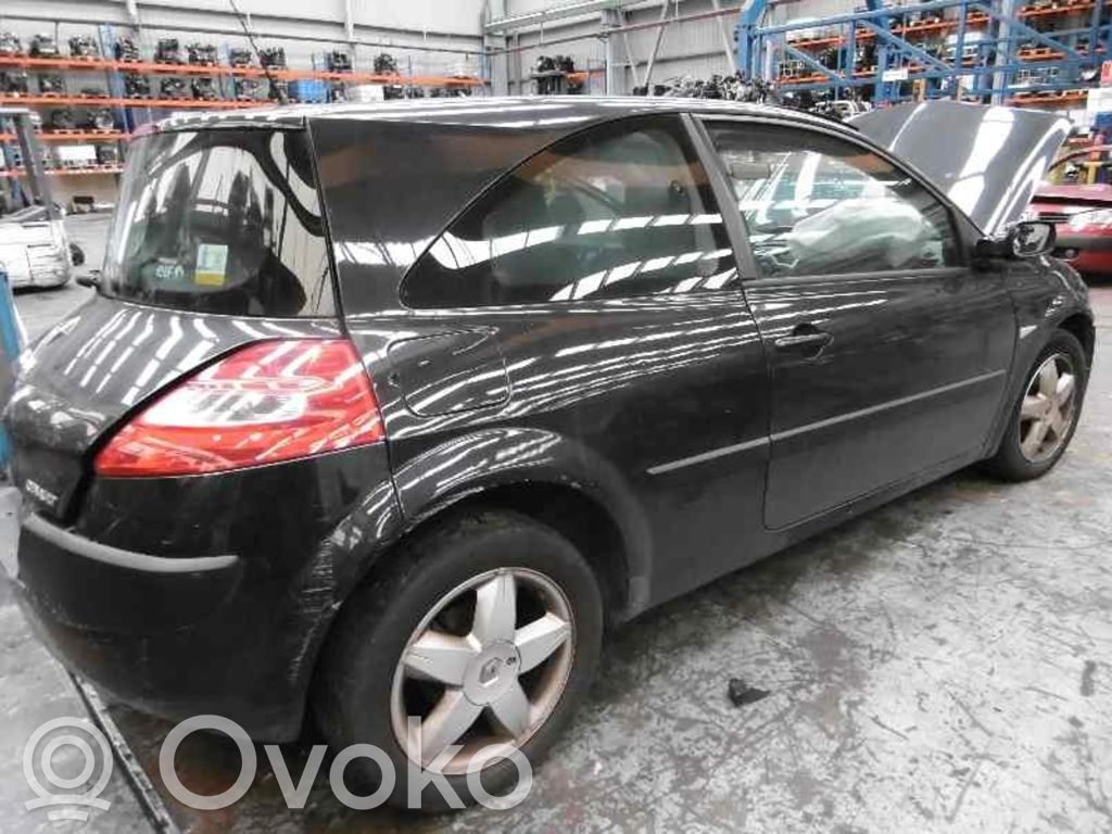 Megane II Megane  8200282949