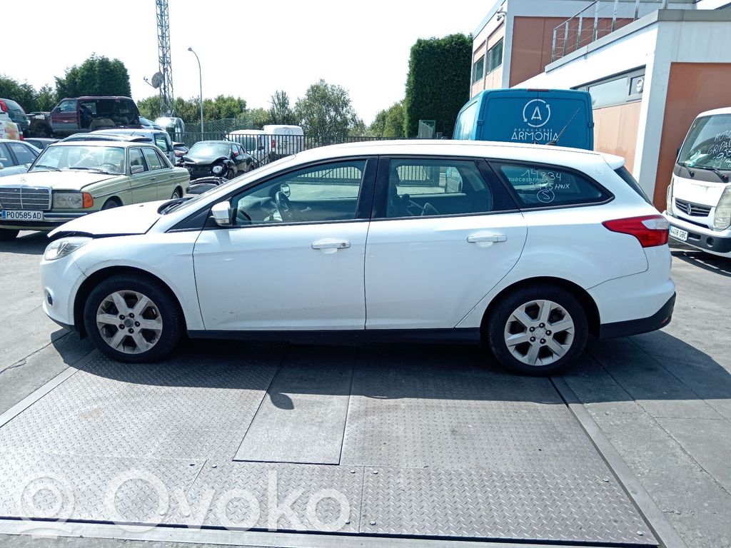 Focus Focus  9804021880