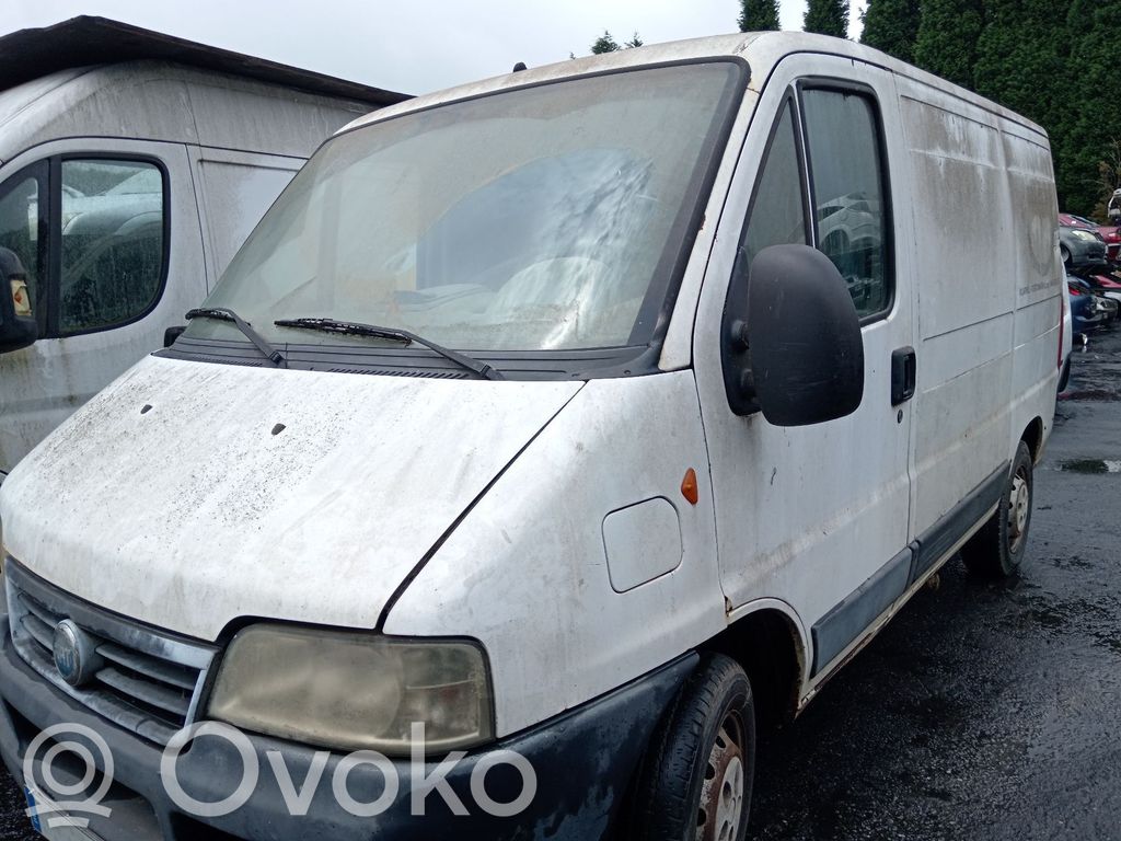 Ducato Ducato  437138