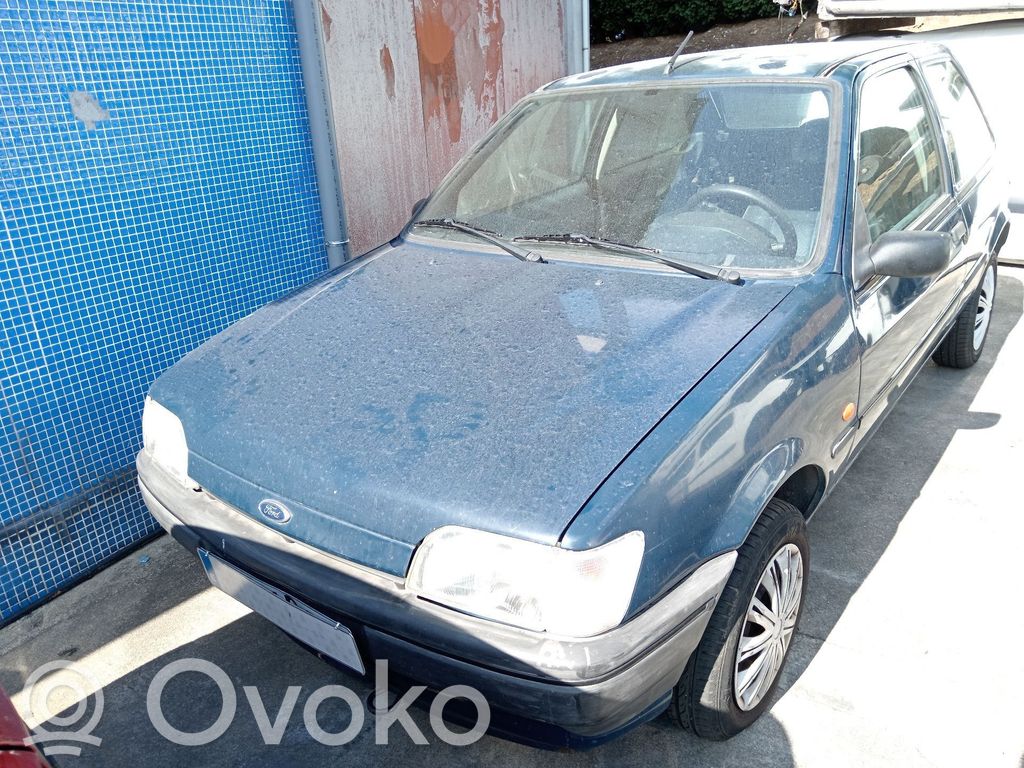 Fiesta Fiesta  54022314D