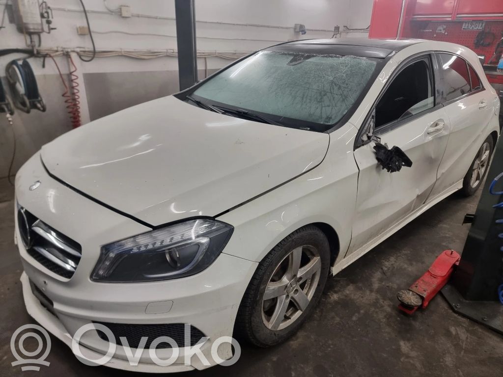 A W176 A-class  A1769061800