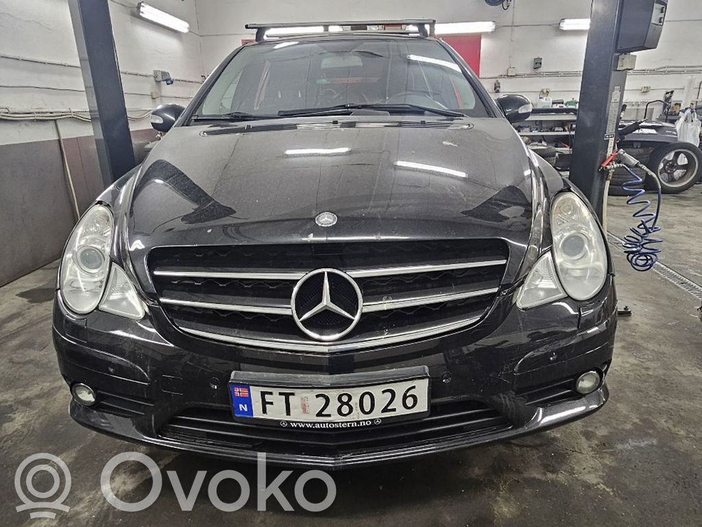 R W251 R-class, AMG (W251)  102907A0
