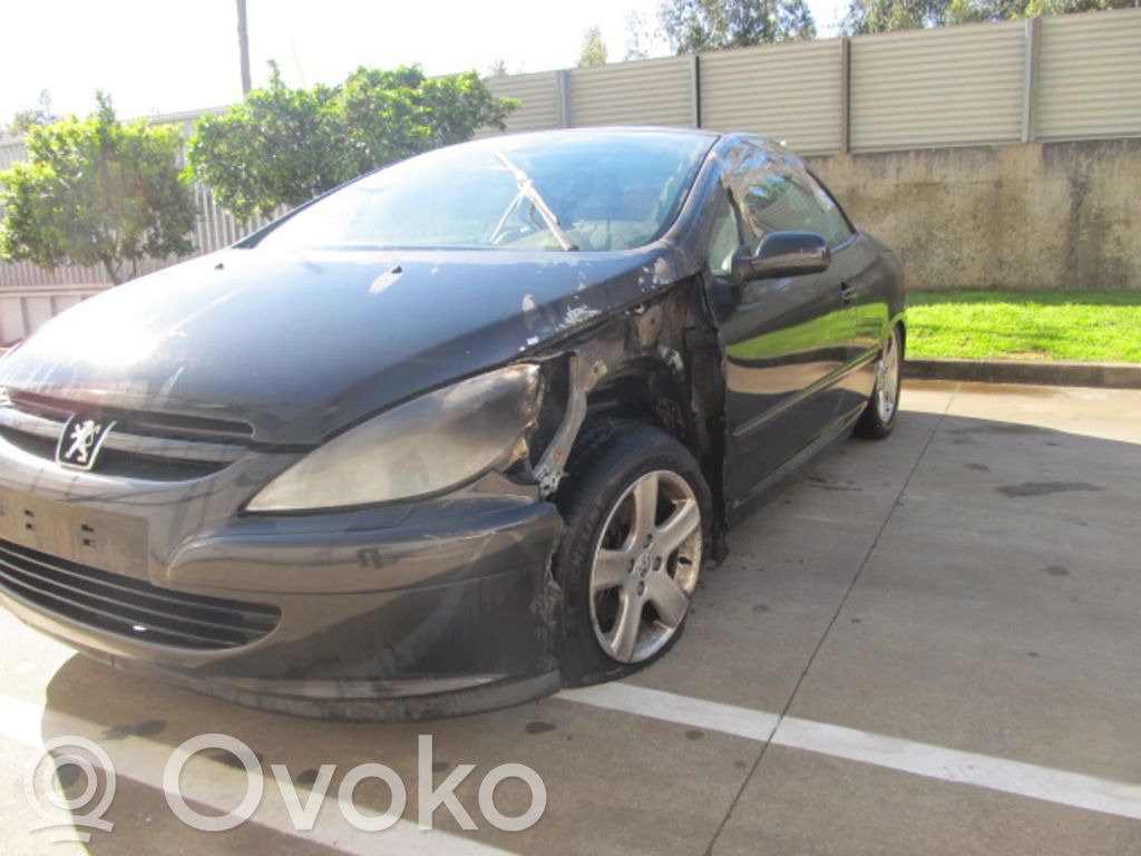 307 CC 307  258006026