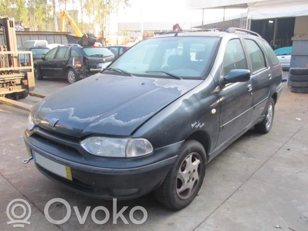 Palio Palio  258006206