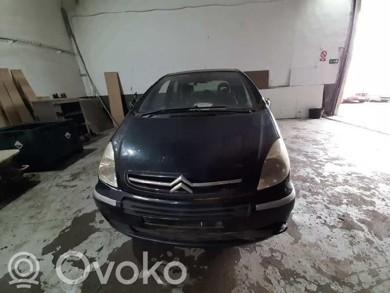 Xsara Xsara, Xsara Picasso