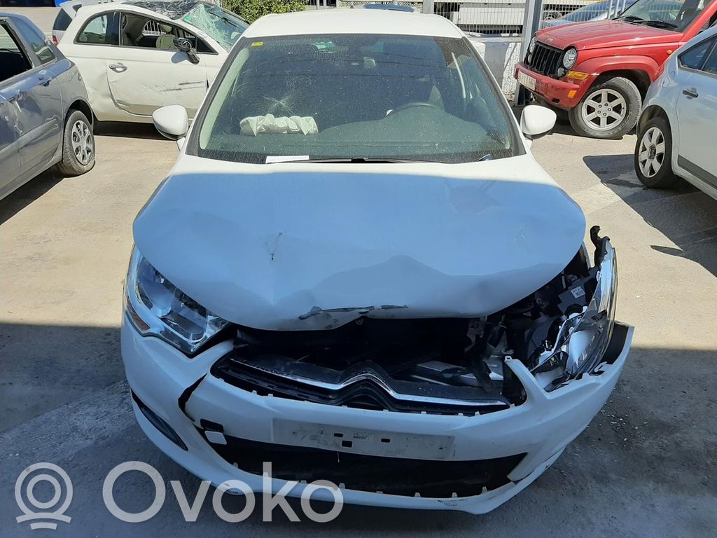 C4 II C4 Picasso, Grand Picasso, Aircross, Cactus  0281004157