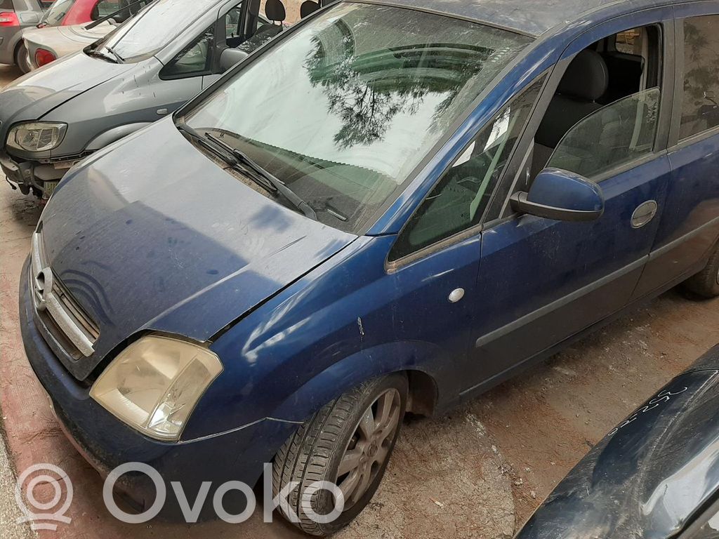Xsara Xsara, Xsara Picasso  93394756