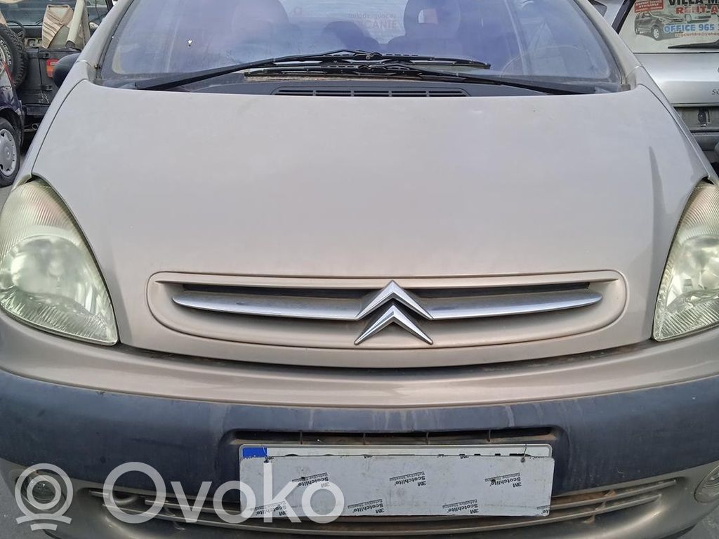Xsara Xsara, Xsara Picasso  0265950072