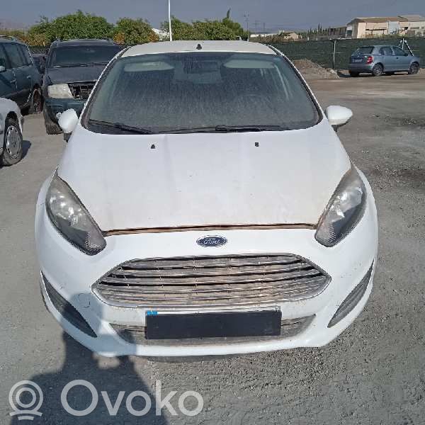 Fiesta Fiesta  C1BB3600DA