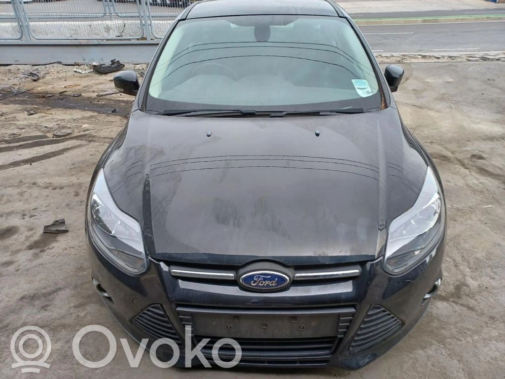 Focus Focus  10021209194