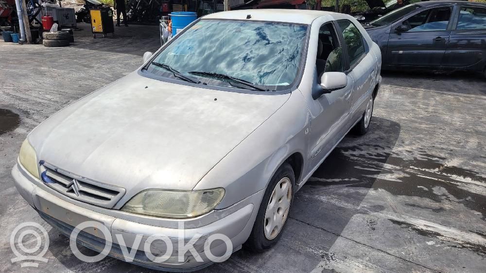 Xsara Xsara, Xsara Picasso