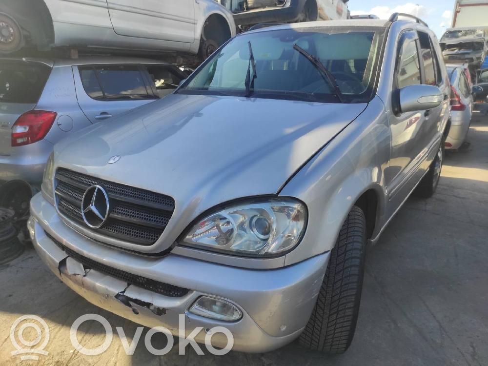 ML W163 ML-class, AMG (W163, W164, W166)