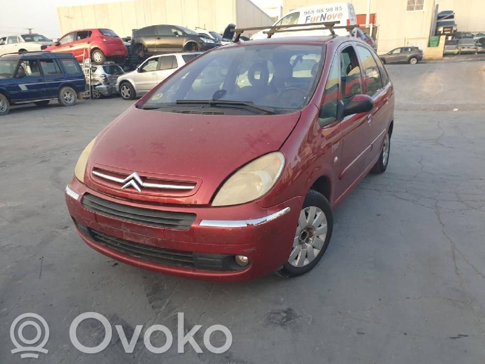Xsara Xsara, Xsara Picasso