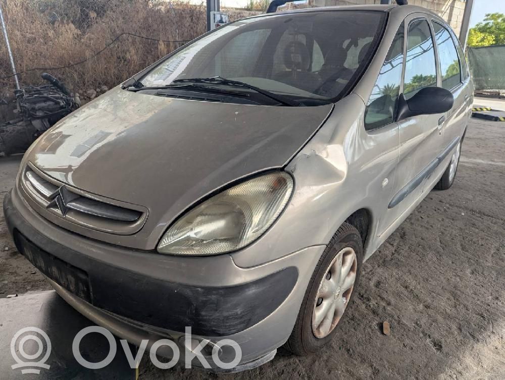 Xsara Xsara, Xsara Picasso  1037016