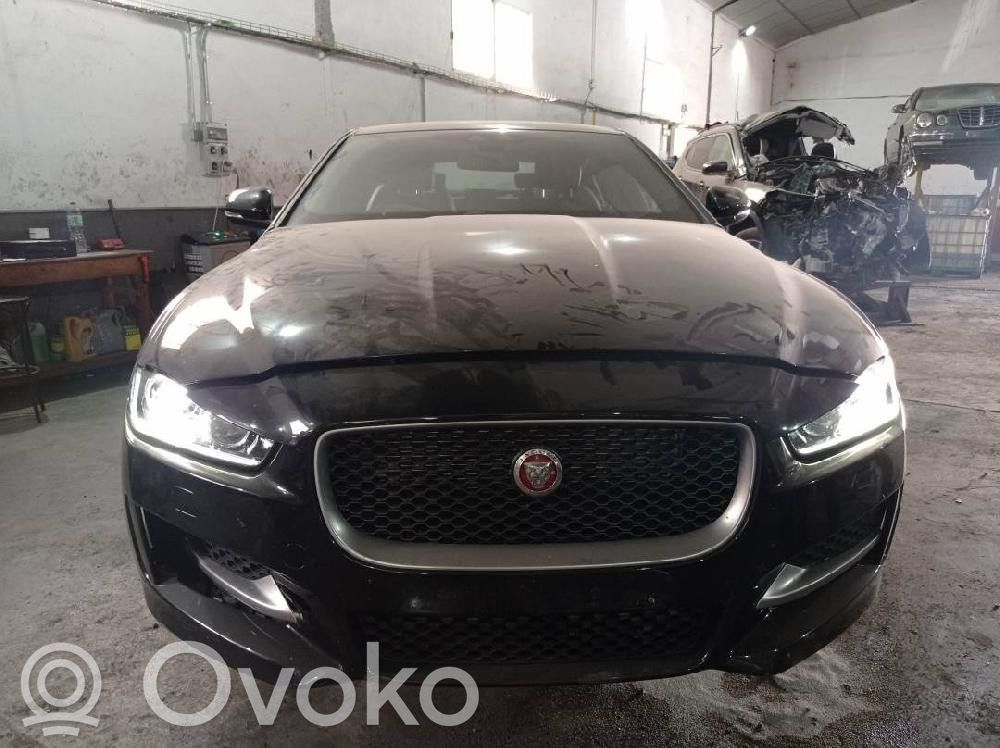 XE XE  FK7214D619BE