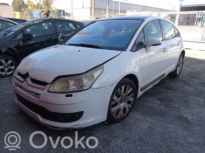 C4 I C4 Picasso, Grand Picasso, Aircross, Cactus  Y1005J