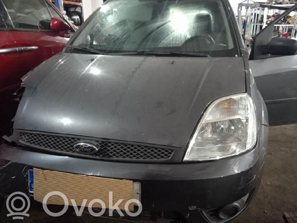 Fiesta Fiesta  M2S61A24995BY