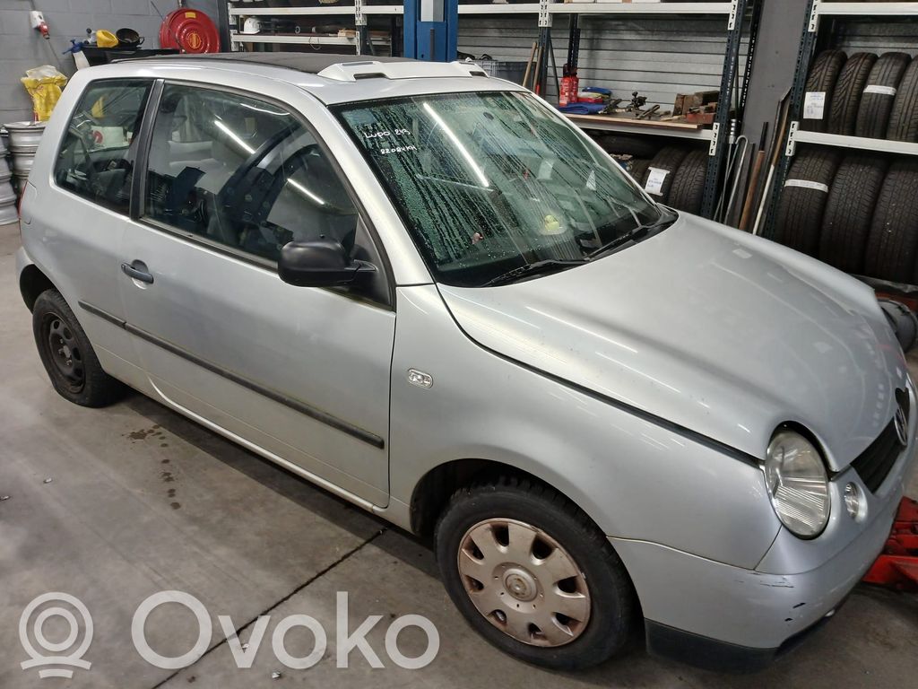 Lupo Lupo  6N0413031J