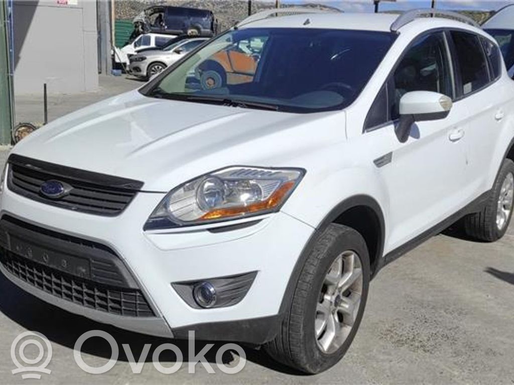 Kuga I Kuga
