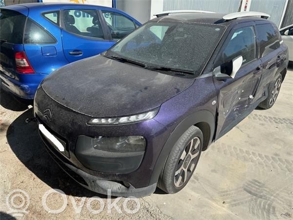 C4 Cactus C4 Picasso, Grand Picasso, Aircross, Cactus