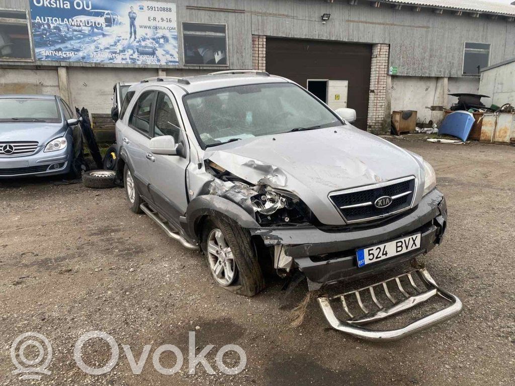 Sorento Sorento  391004A810