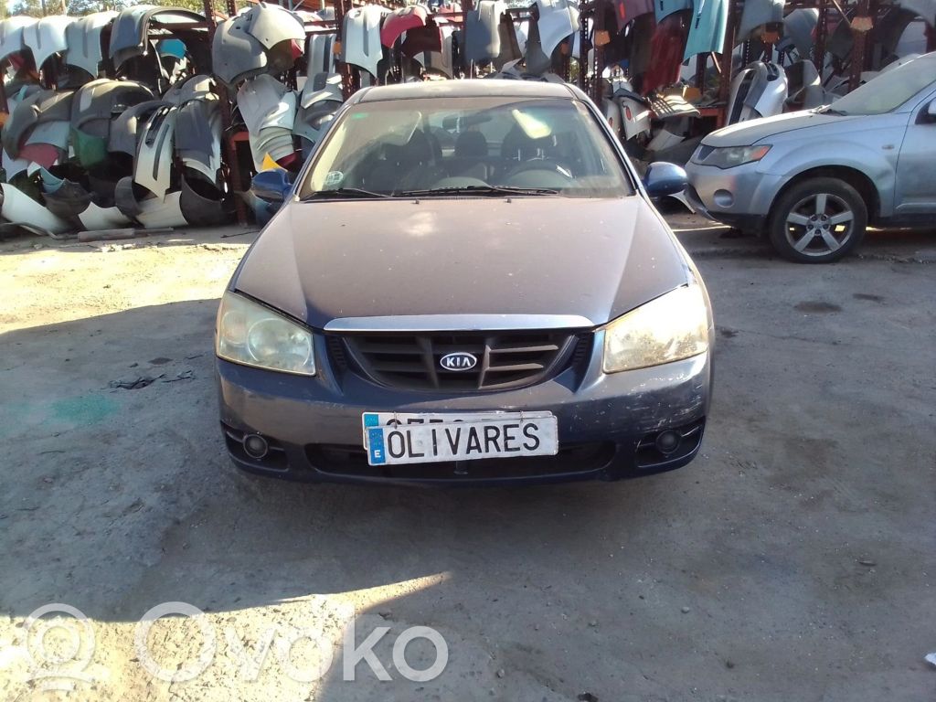 Cerato Cerato  391012A110