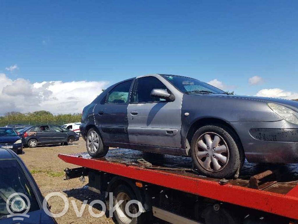 Xsara Xsara, Xsara Picasso