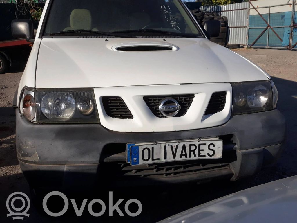 Terrano Terrano  391007F00A