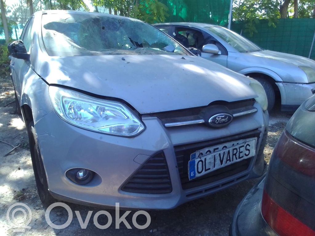 Focus Focus  1327549