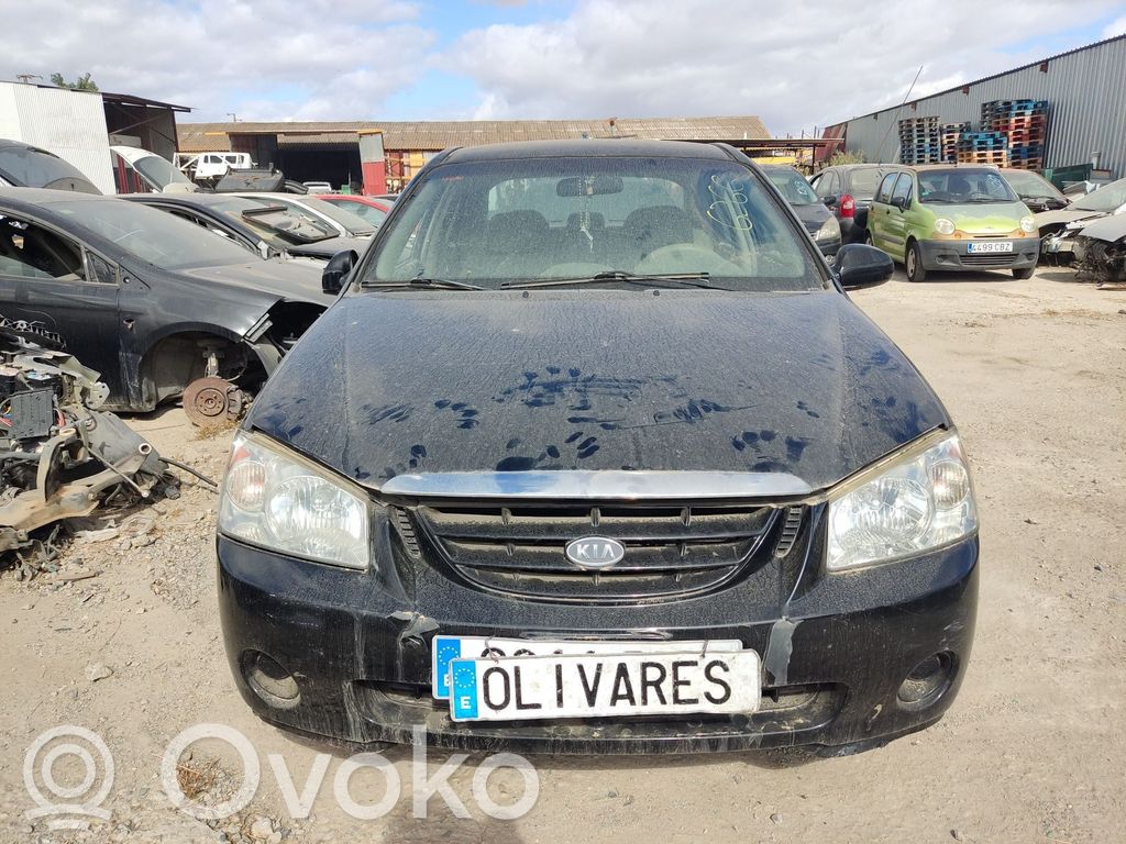Cerato Cerato  585002F500