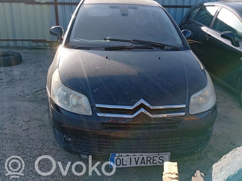 C4 I Picasso C4 Picasso, Grand Picasso, Aircross, Cactus  9650688480