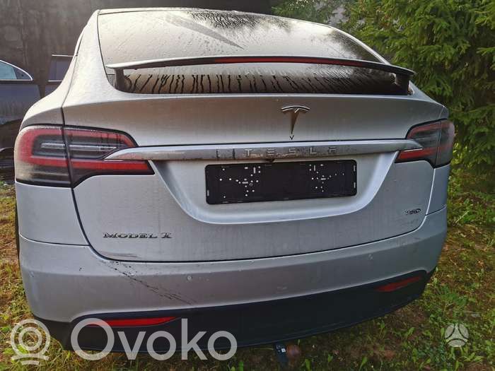 Model X Tesla Model X  105589100D