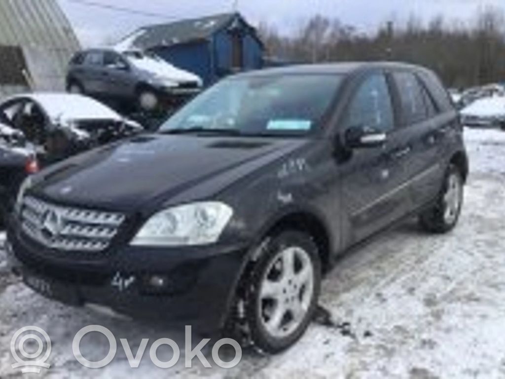 ML W164 ML-class, AMG (W163, W164, W166)