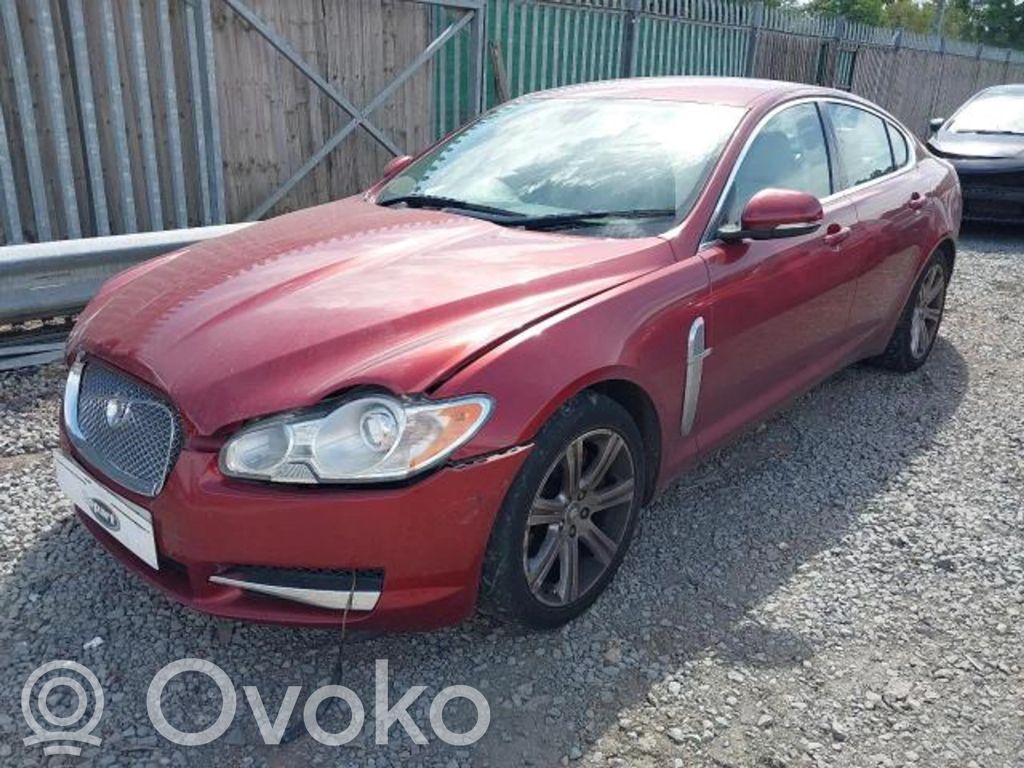 XF XF  C2D19585E