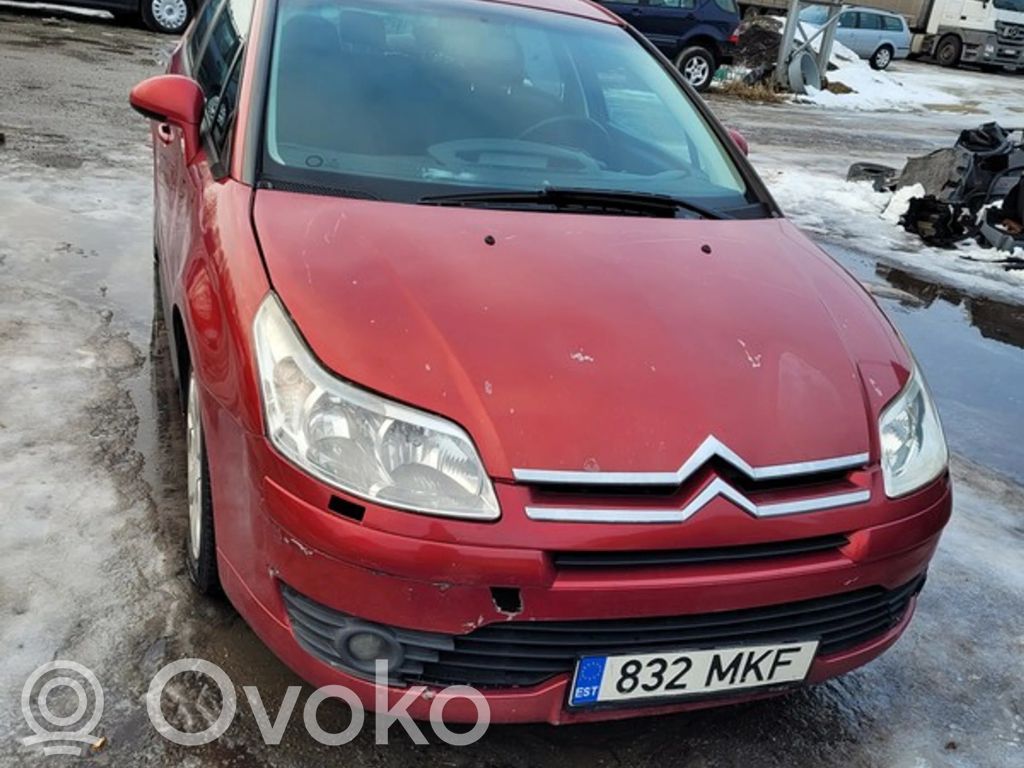C4 I C4 Picasso, Grand Picasso, Aircross, Cactus  S126024101C