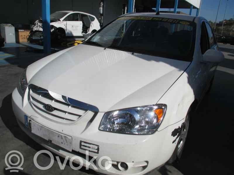 Cerato Cerato  977302F000