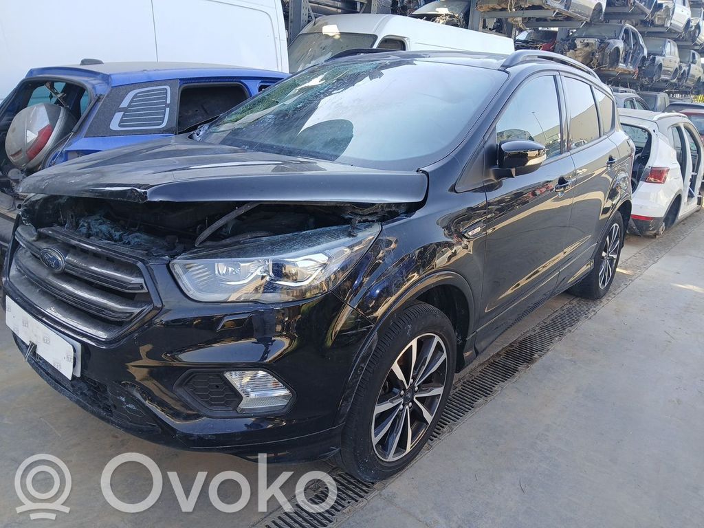 Kuga II Kuga