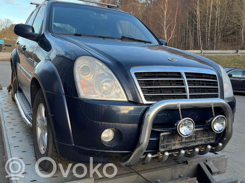 Rexton Rexton