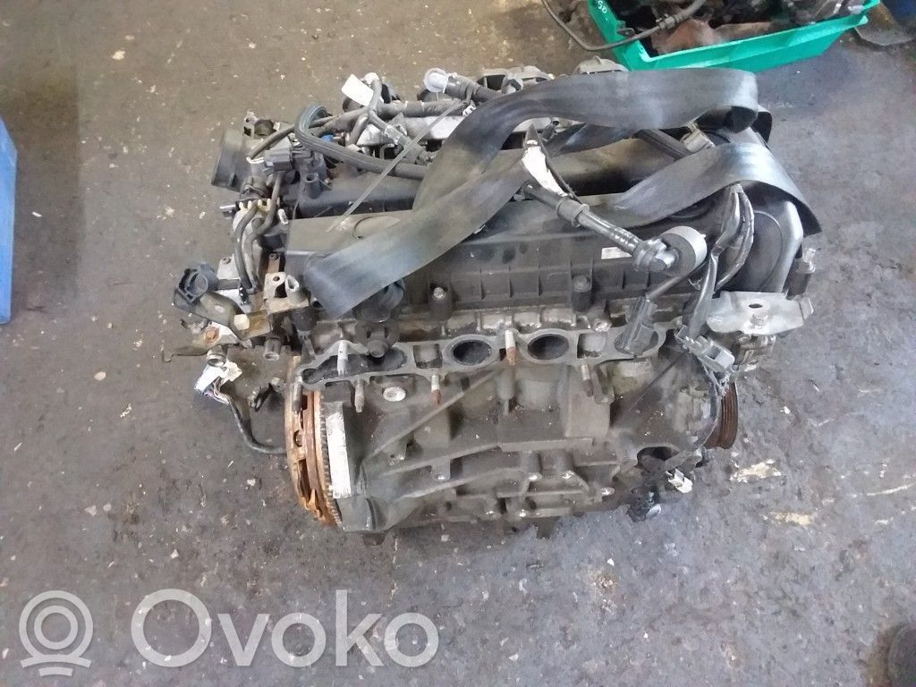 6 6  L82318881D