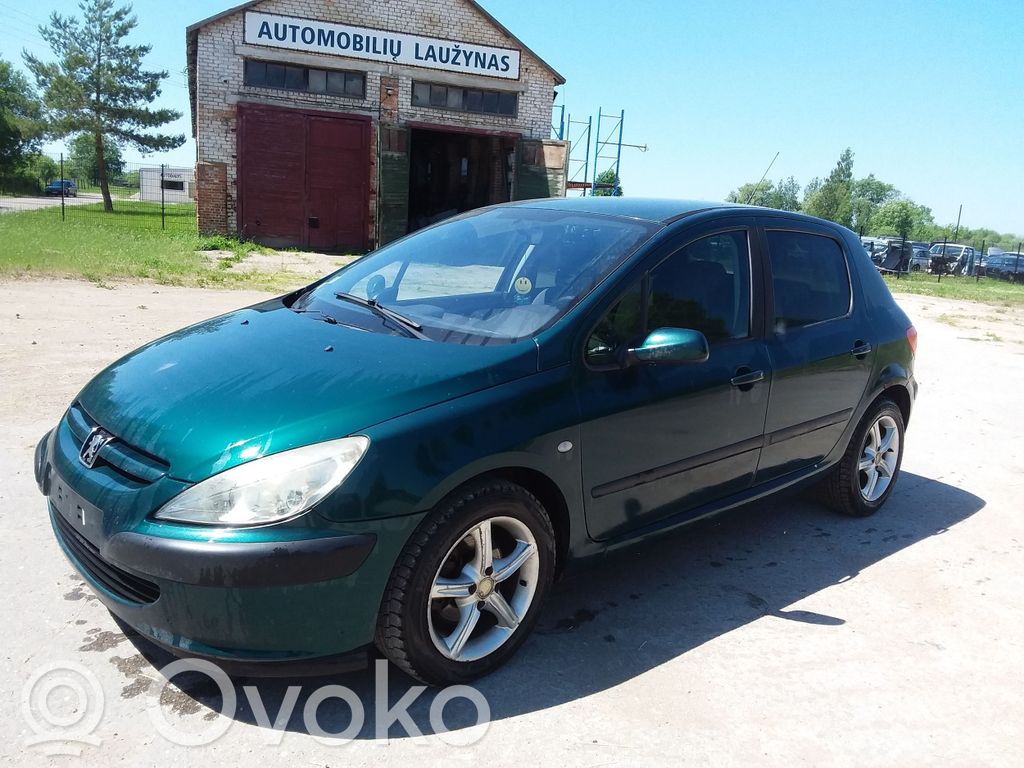 307 307  96366684XT