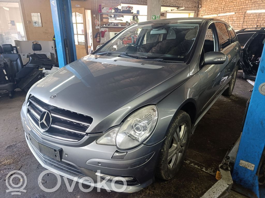 R W251 R-class, AMG (W251)  2518600547