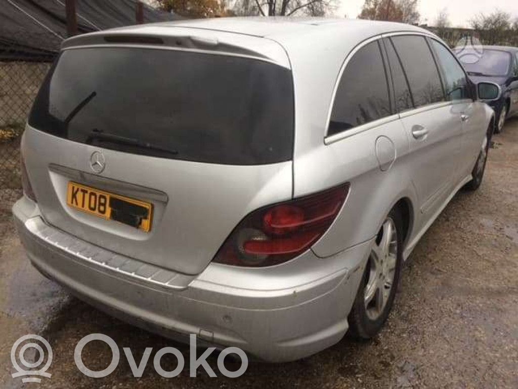 R W251 R-class, AMG (W251)  A2518201942