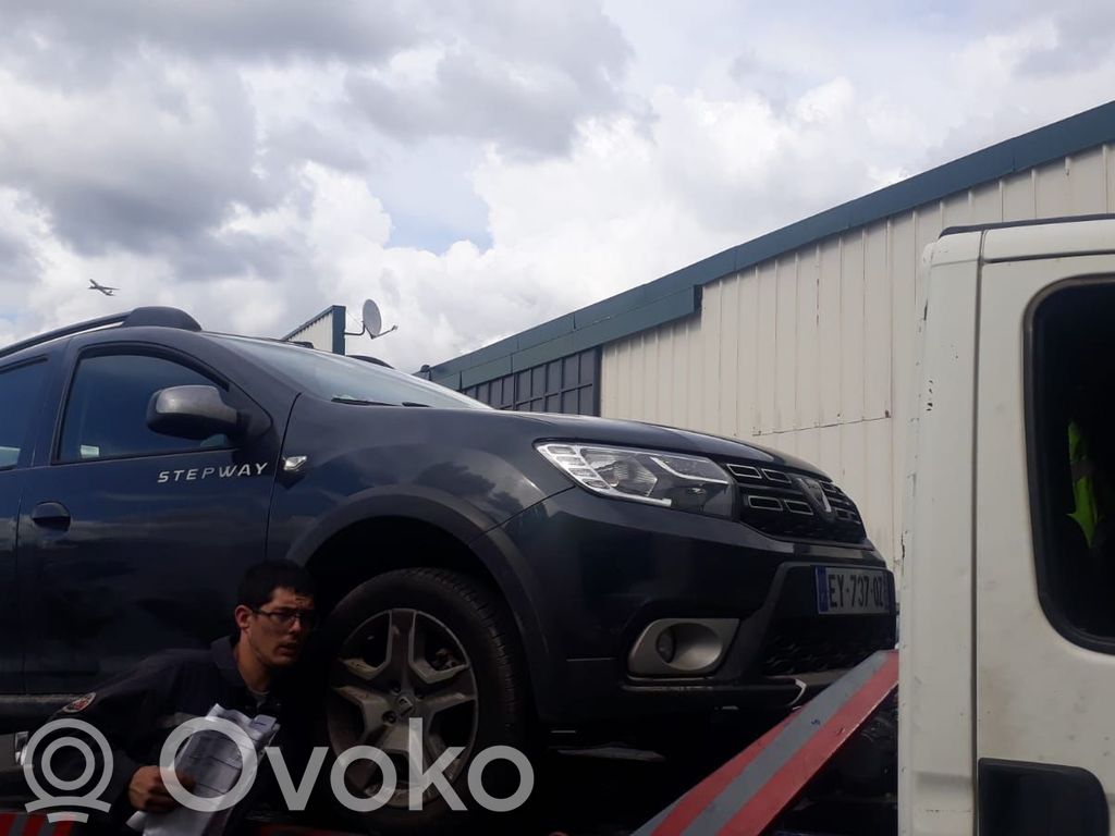 Sandero Sandero, Sandero Stepway  223727641R